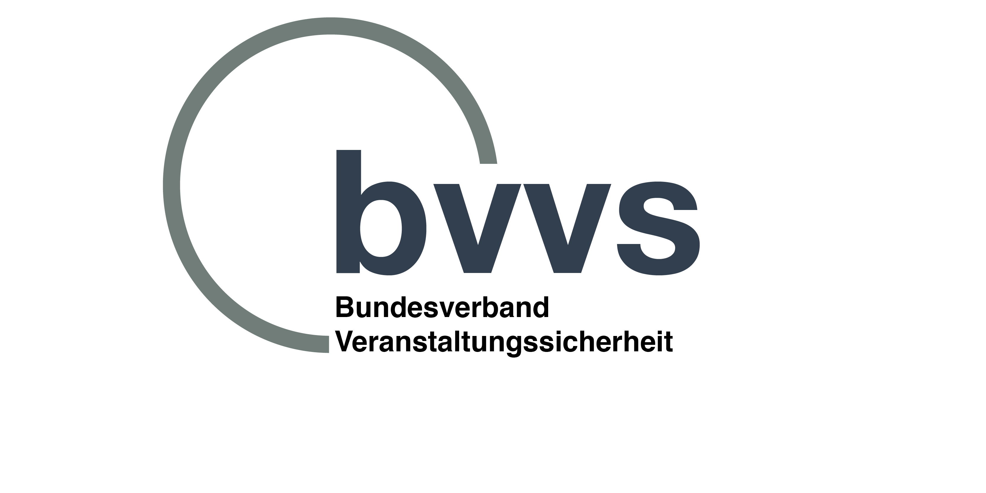 bvvs Logo