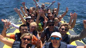 eventcompanies teaser companies 01