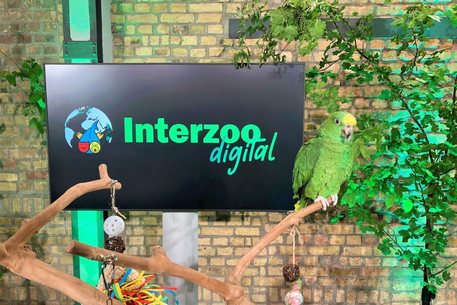 Buntes Treiben bei schoko pro in der Alten Schmelze