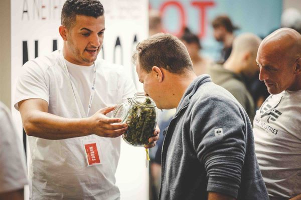 Error und Cannabis für die Mary Jane Berlin